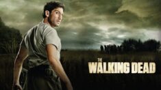 Watch The Walking Dead Season 11 Finale (Episode 24) Rest in Peace
